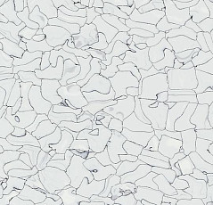 Кварцвиниловые полы Forbo Colorex SD 150203 фото 1 | FLOORDEALER